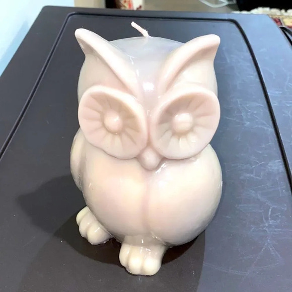 Other - Owl custom made candle